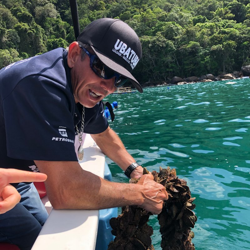 Cultivo de mexilhões