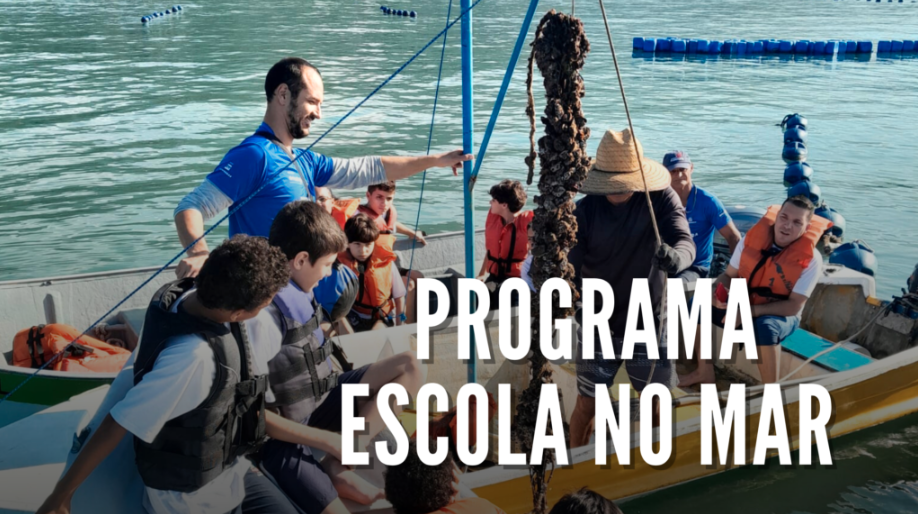 PROGRAMA ESCOLA NO MAR
