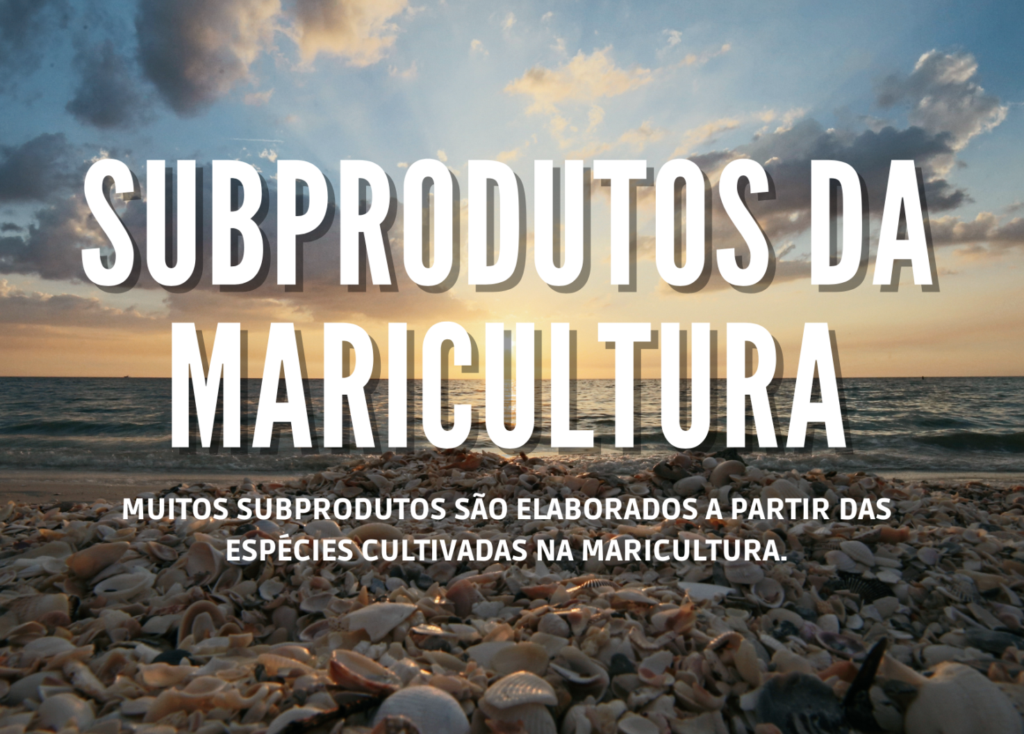 SUBPRODUTOS DA MARICULTURA