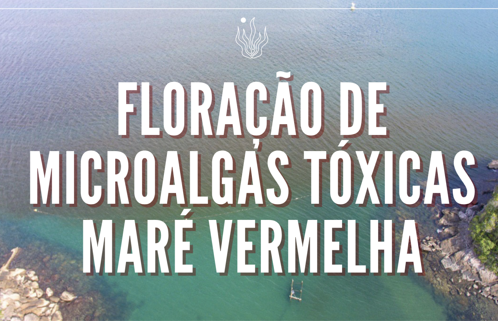 FLORAÇÃO DE MICROALGAS TÓXICAS